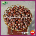 2015 New Crop Bulk Natural Chinese Fresh Best Delicious Chestnut